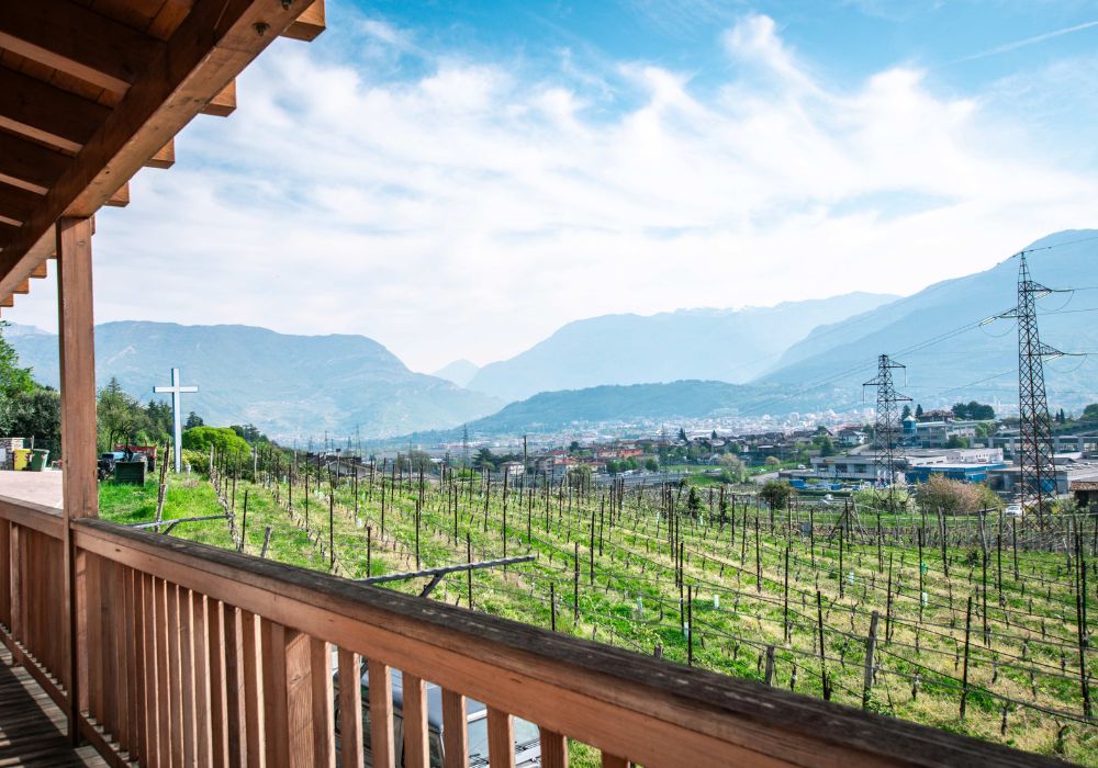 agriturismo rovereto maso fiorini tn (5).jpg